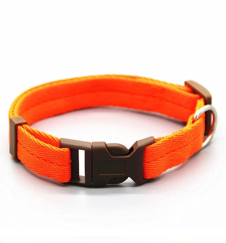 Dog Collars for Large and Small Breeds, Pet Supplies
