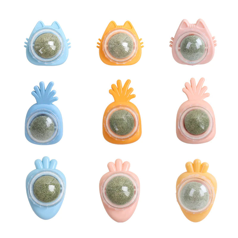 Catnip Ball Toy for Cats - Wholesale Pet Supplies