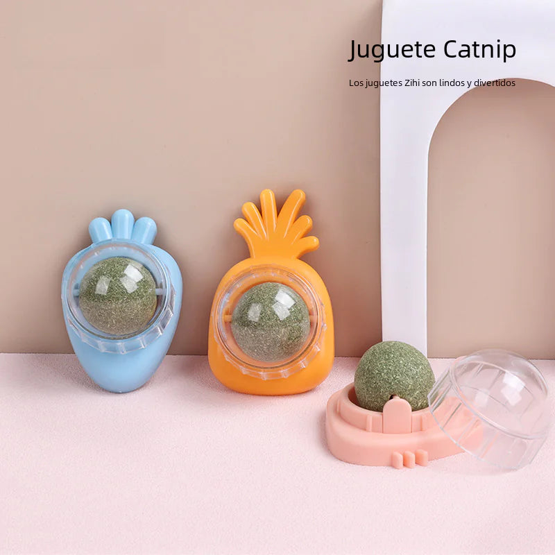Catnip Ball Toy for Cats - Wholesale Pet Supplies