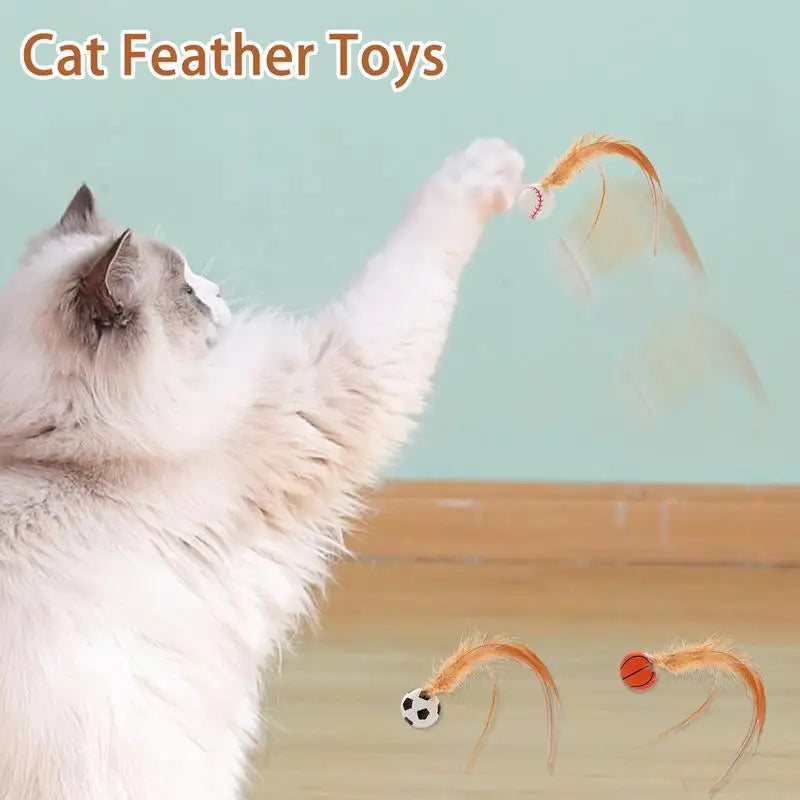 New Cat Interactive Ball Toys Bouncy Balls