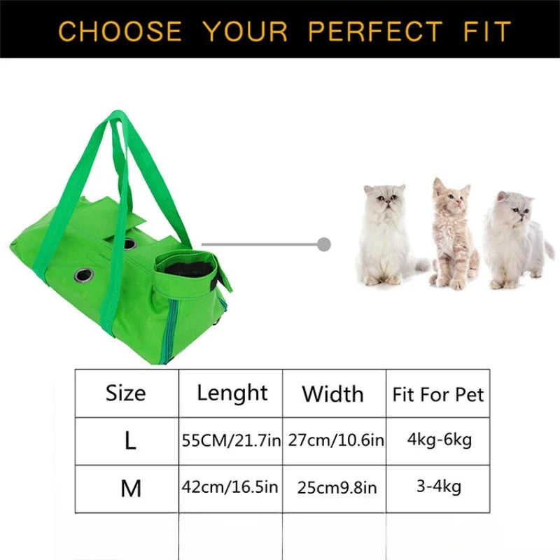 Portable Cat Backpack Pet Summer Bag