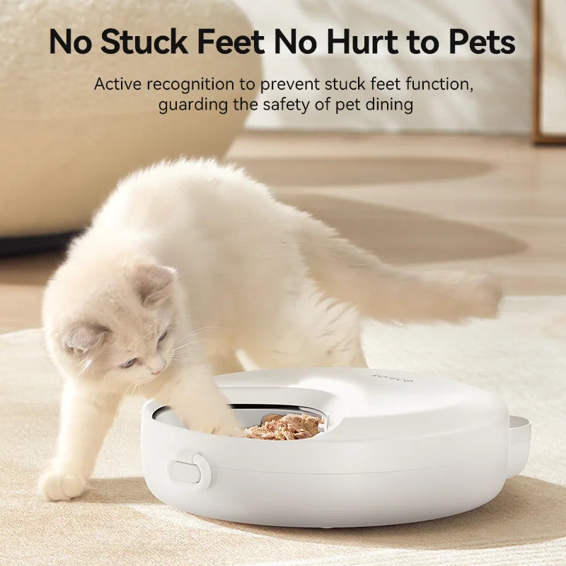 Automatic Pet Feeder 4 Meals For Wet Dry Food Feeding
