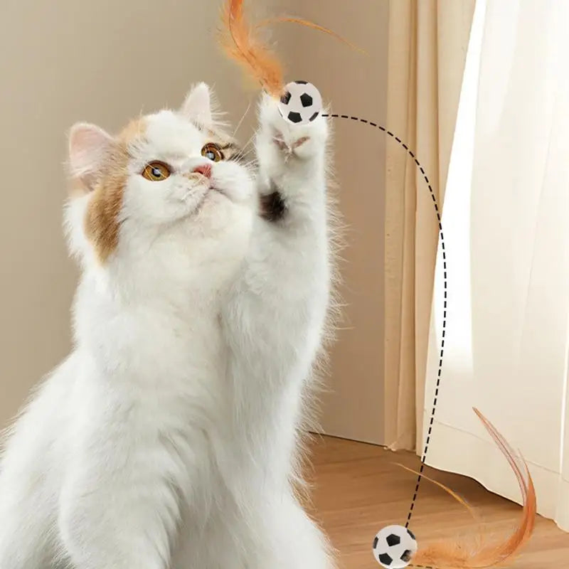 New Cat Interactive Ball Toys Bouncy Balls