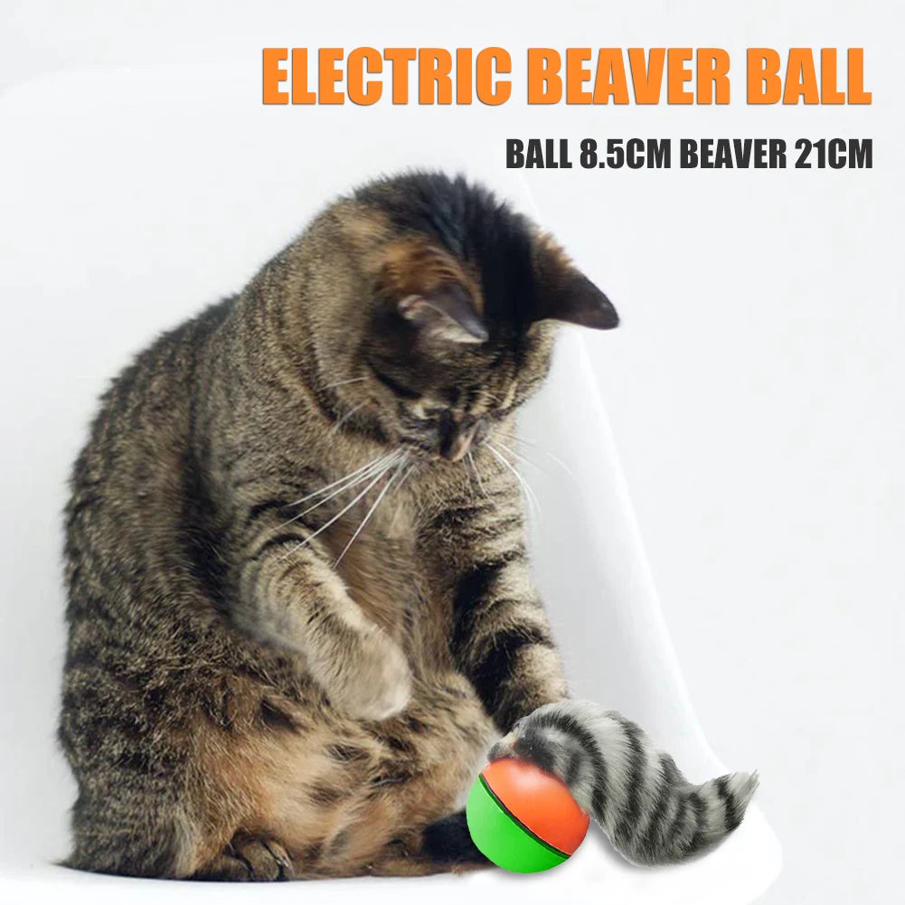 Electric Beaver Weasel Rolling Ball Chasing Claws Bite Toys