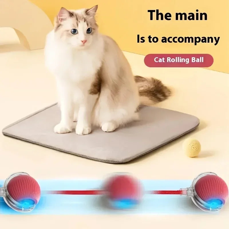 Automatic Rolling Ball Interactive Ball