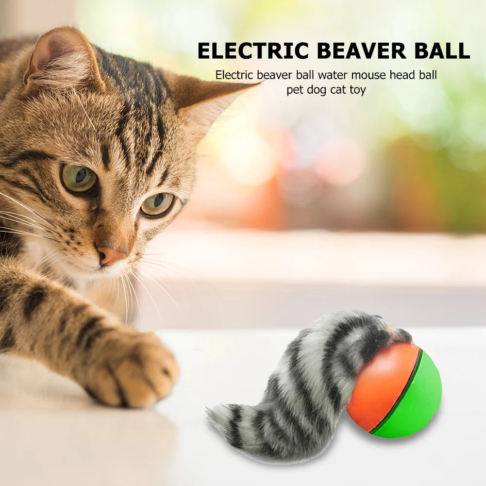 Electric Beaver Weasel Rolling Ball Chasing Claws Bite Toys