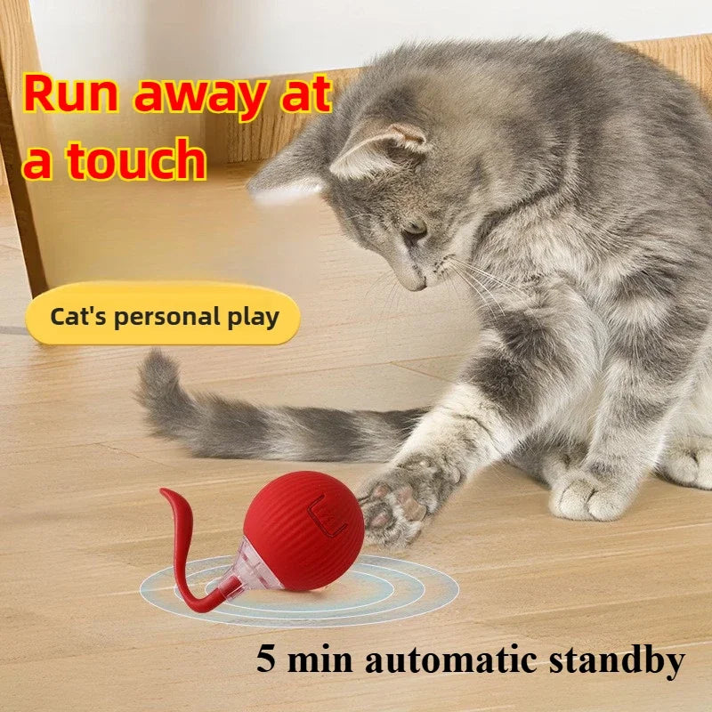 Automatic Rolling Ball Interactive Ball