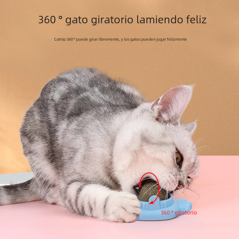 Catnip Ball Toy for Cats - Wholesale Pet Supplies