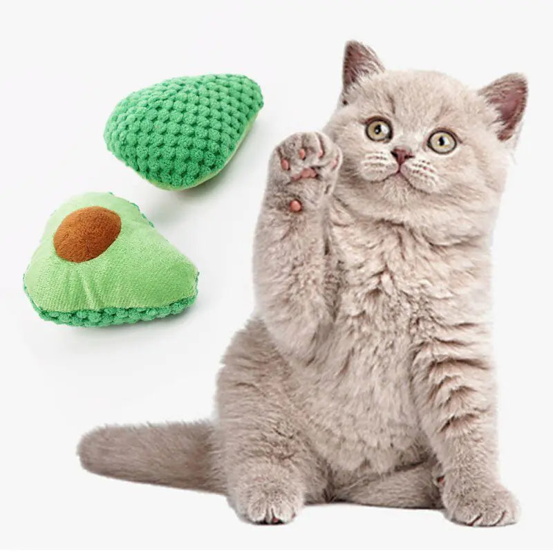 Cactus Cat Toy and Avocado Pet Supplies