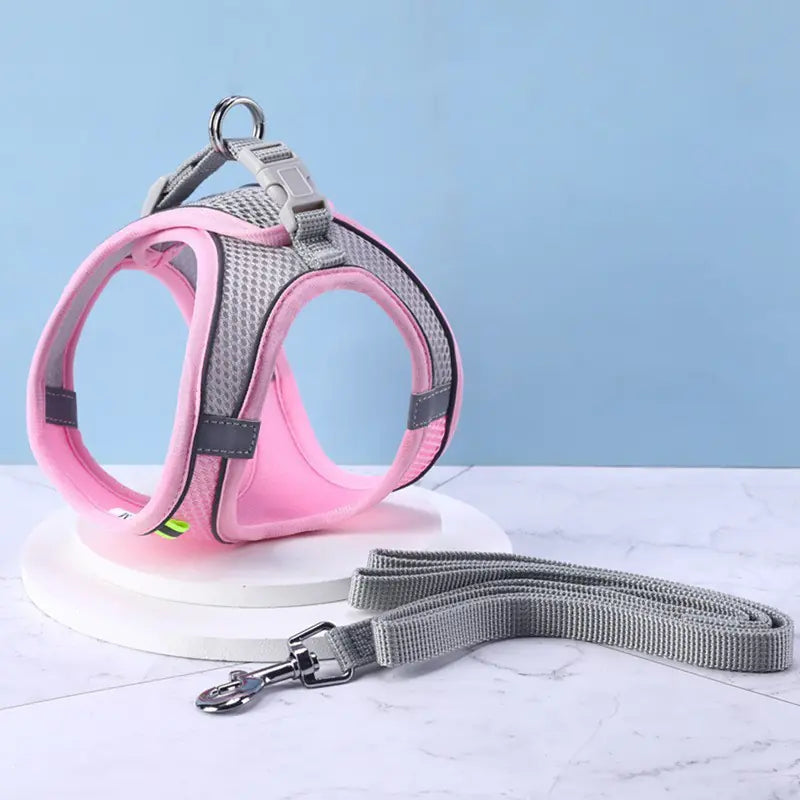 Cat Harness with Pulling Rope Leash for Pet Supplies