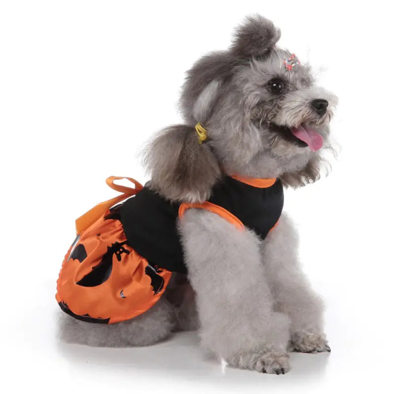 Wizard Dress for Dogs - Halloween Pet Supplies