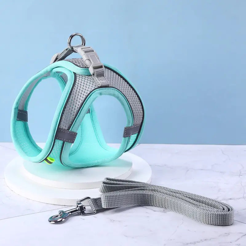 Cat Harness with Pulling Rope Leash for Pet Supplies