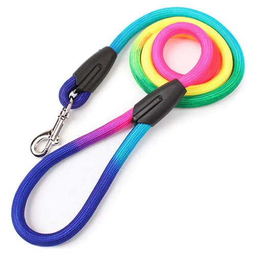 Pet Leash, Harness and ropes