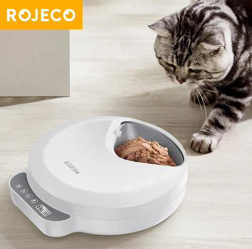 Pet Feeders & Bowls