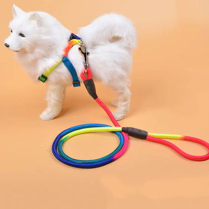 Colorful Nylon Round Dog Rope for Pet Supplies