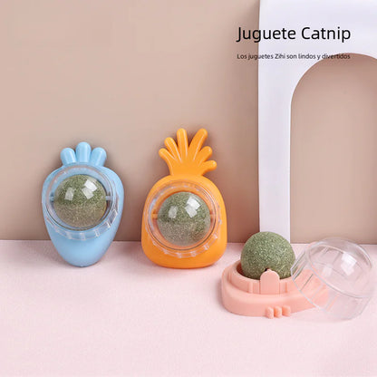 Catnip Ball Toy for Cats - Wholesale Pet Supplies