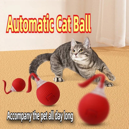 Automatic Rolling Ball Interactive Ball