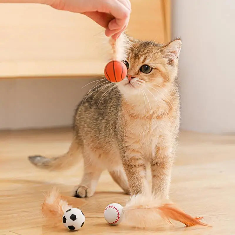 New Cat Interactive Ball Toys Bouncy Balls
