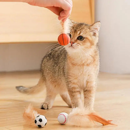 New Cat Interactive Ball Toys Bouncy Balls