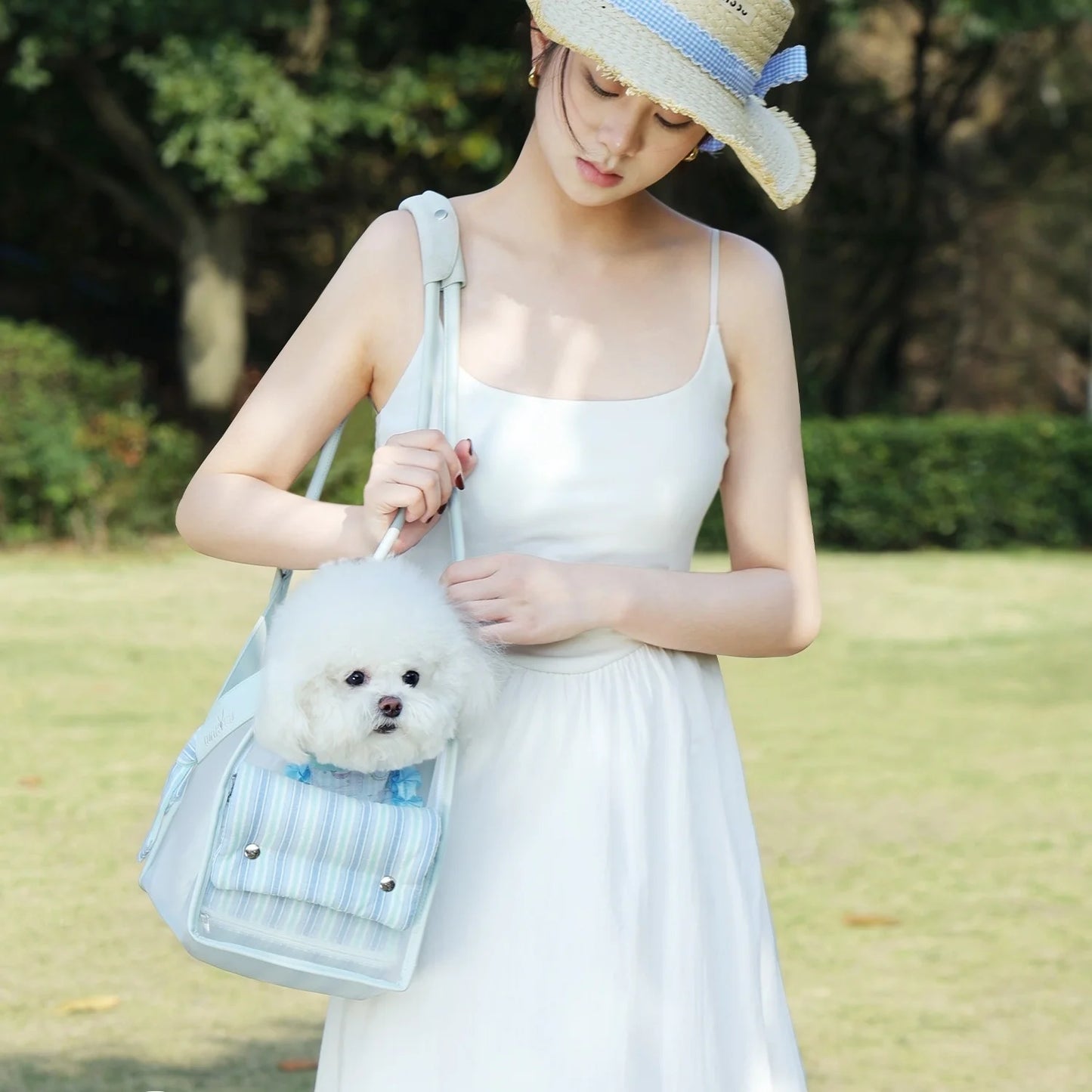 pet bug proof bag for summer pet cat soft sided carrier bag