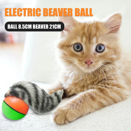 Electric Beaver Weasel Rolling Ball Chasing Claws Bite Toys