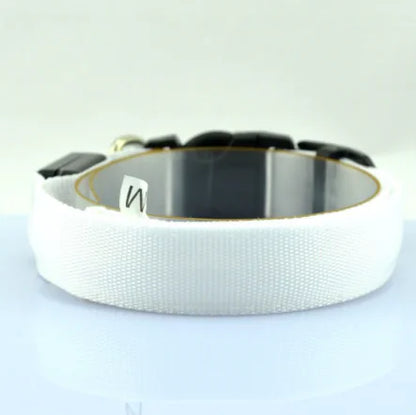Luminous Fluorescent Dog Collar for Pet Supplies