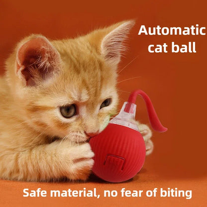 Automatic Rolling Ball Interactive Ball