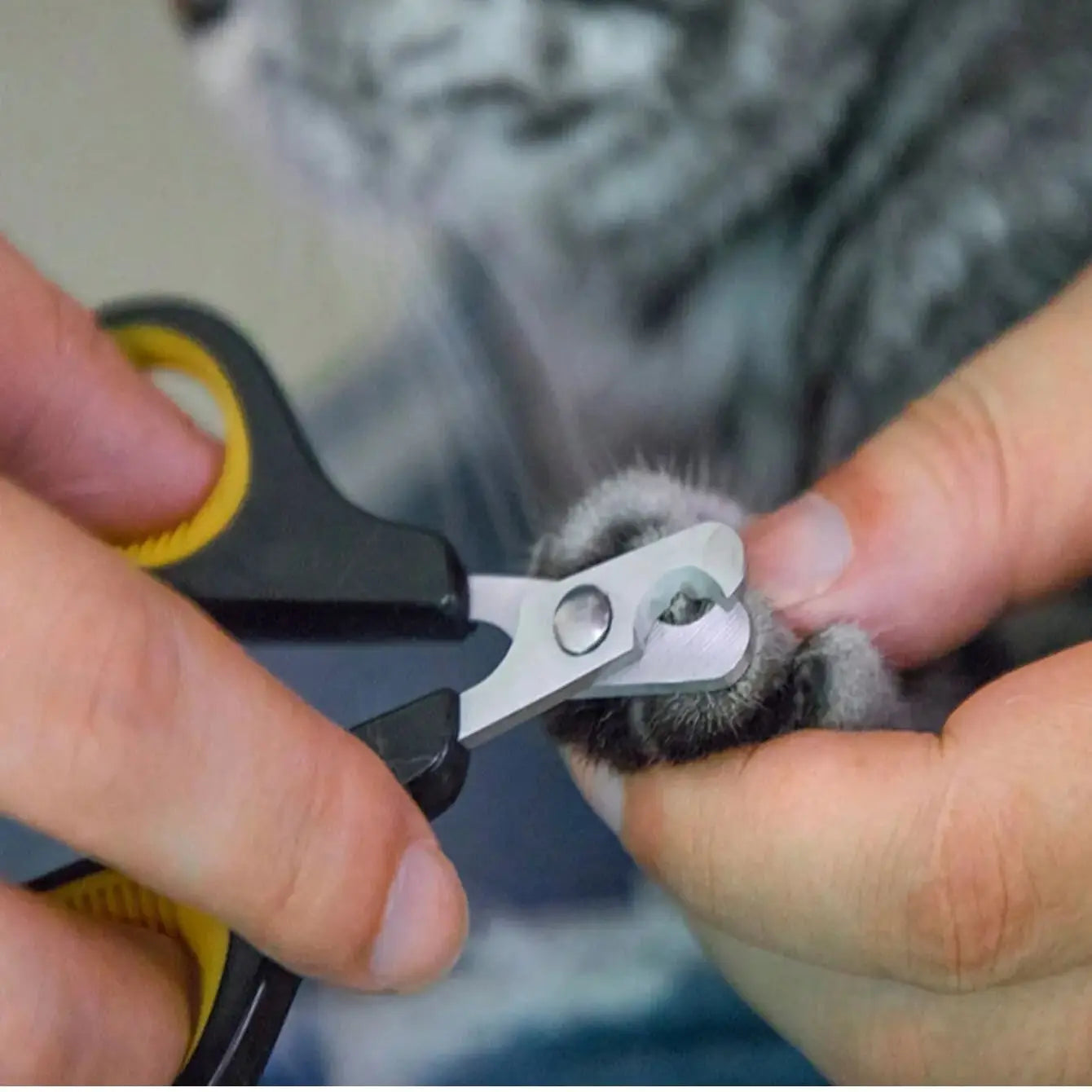 Professional Cat Nail Clippers for Small Cat Dog