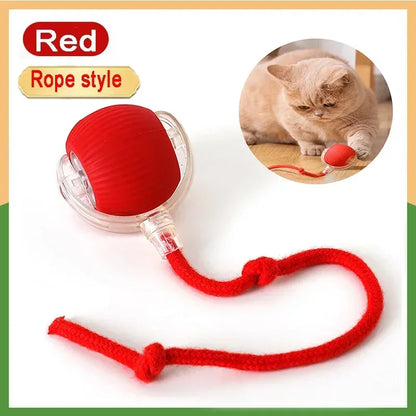 Automatic Rolling Ball Interactive Ball
