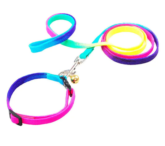 Round Rainbow Cat Leash and Dog Chain